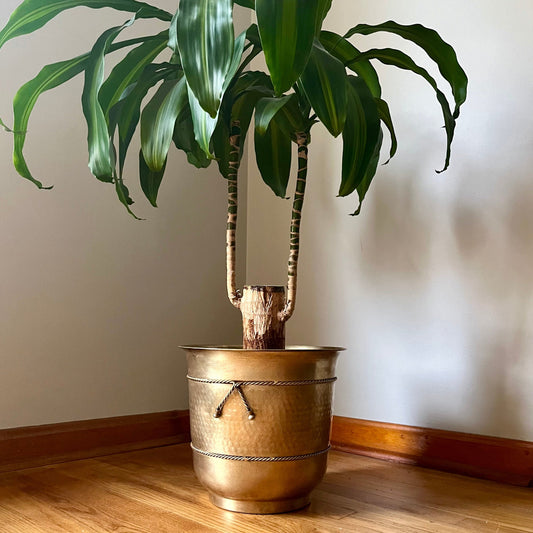 Large Solid Indian Brass Planter Pot