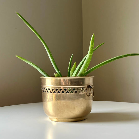 Indian Brass Cachepot with Decorative Handles