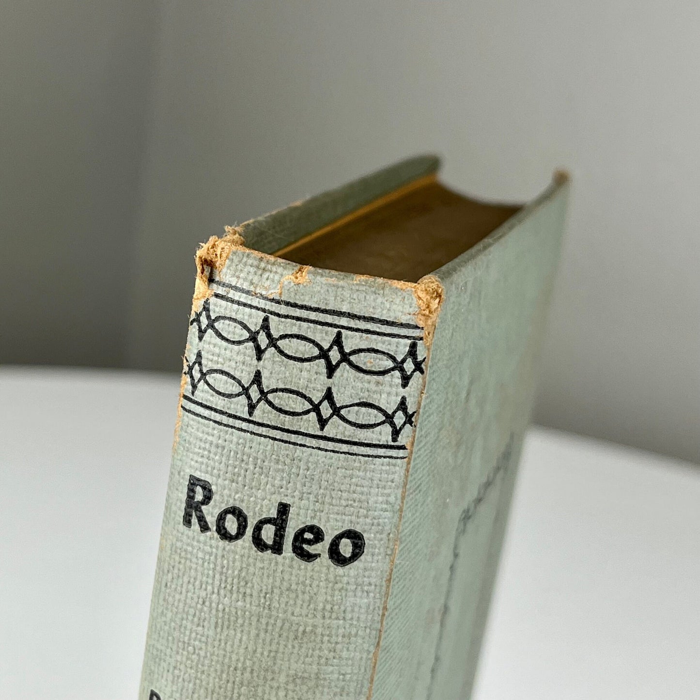 Rodeo by B.M. Bower