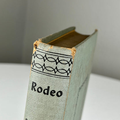 Rodeo by B.M. Bower