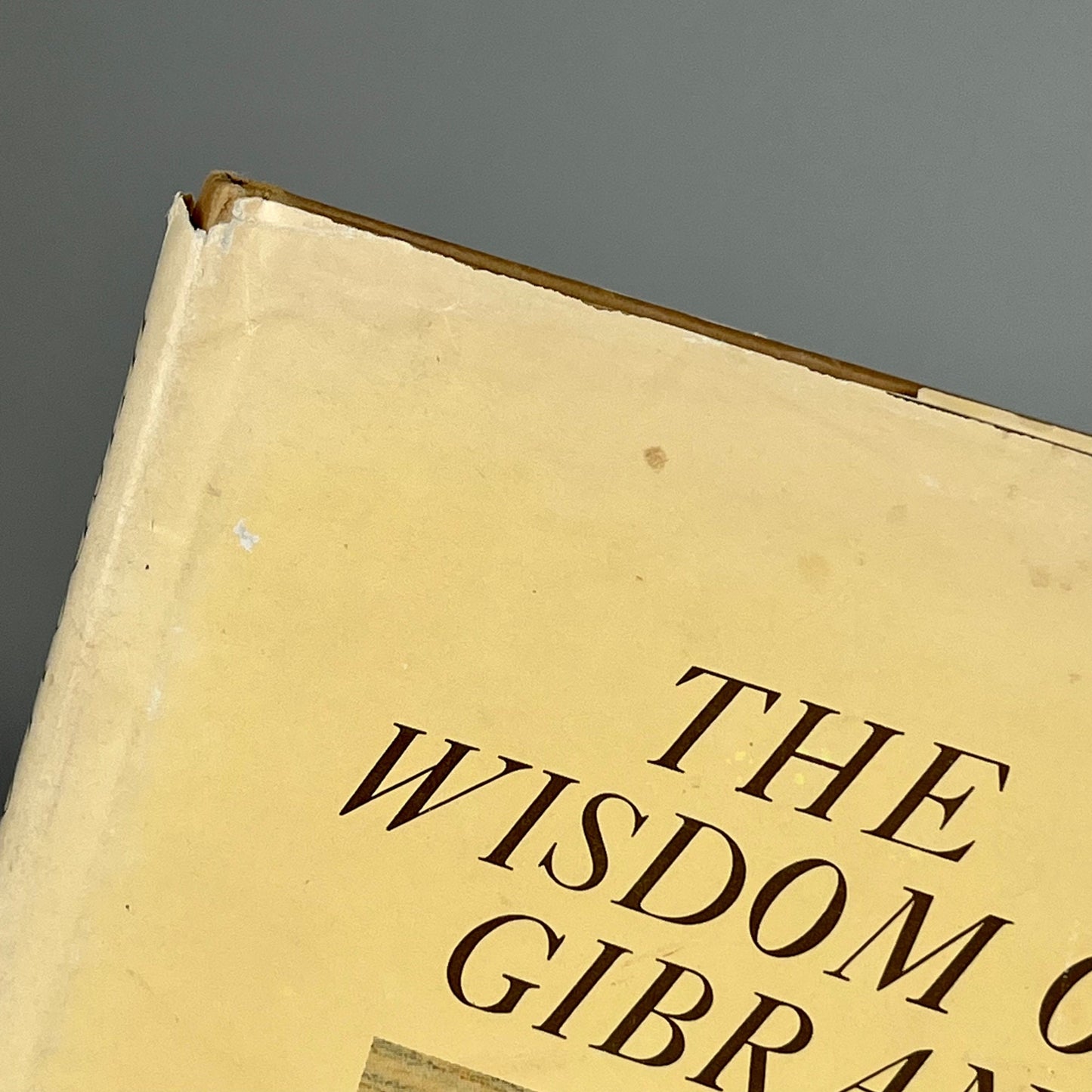 The Wisdom Of Gibran: Aphorisms and Maxims by Kahlil Gibran