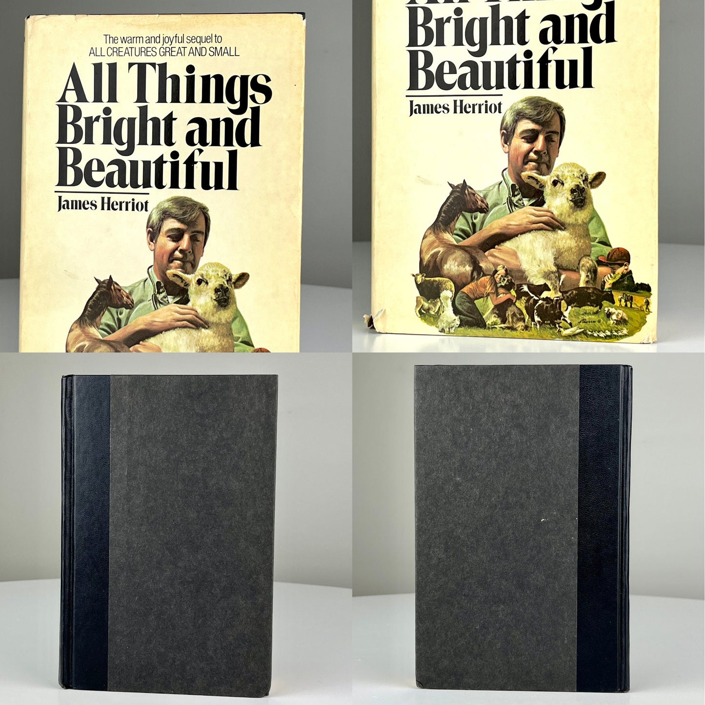 All Things Bright and Beautiful by James Herriot