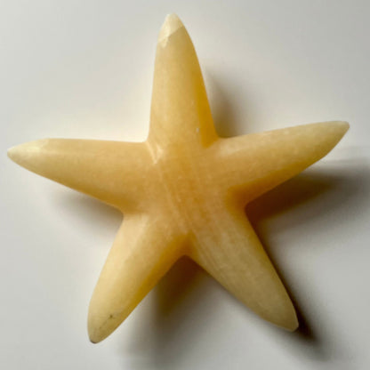 Stone Starfish Paperweight/ Sculpture