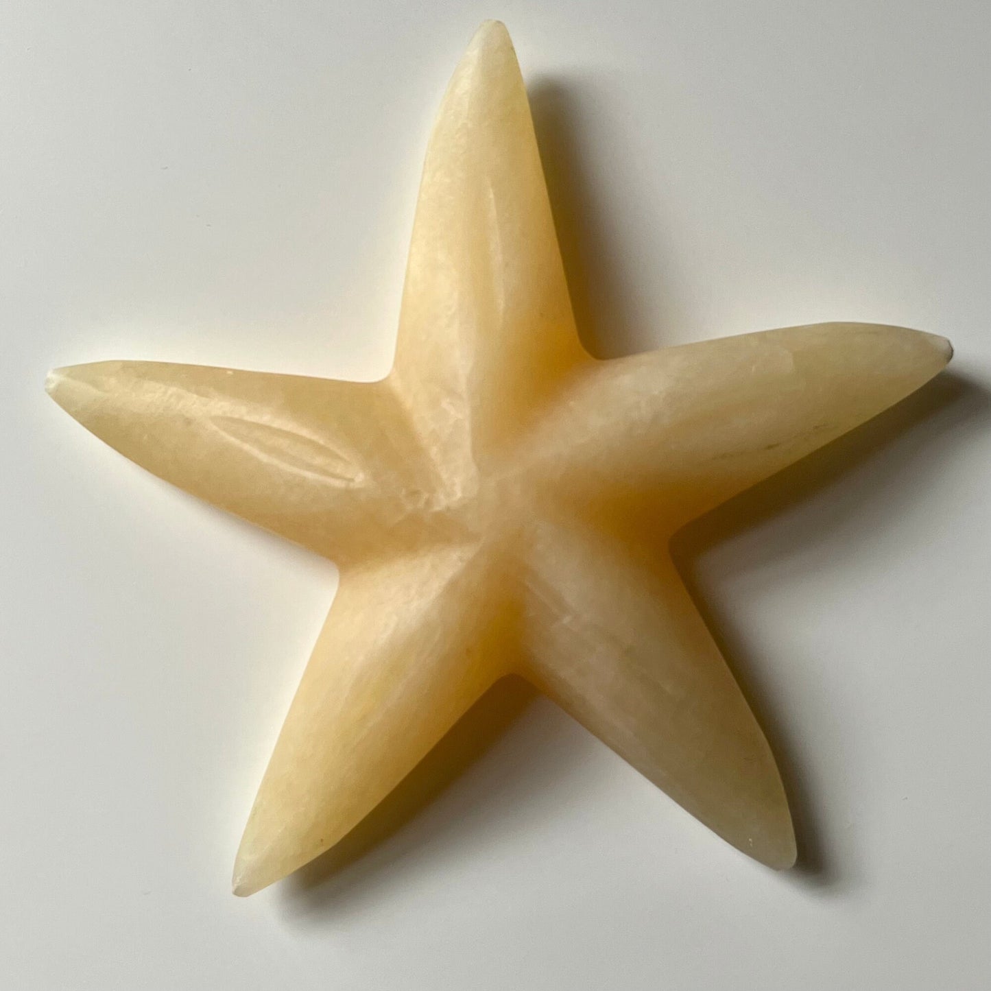 Stone Starfish Paperweight/ Sculpture