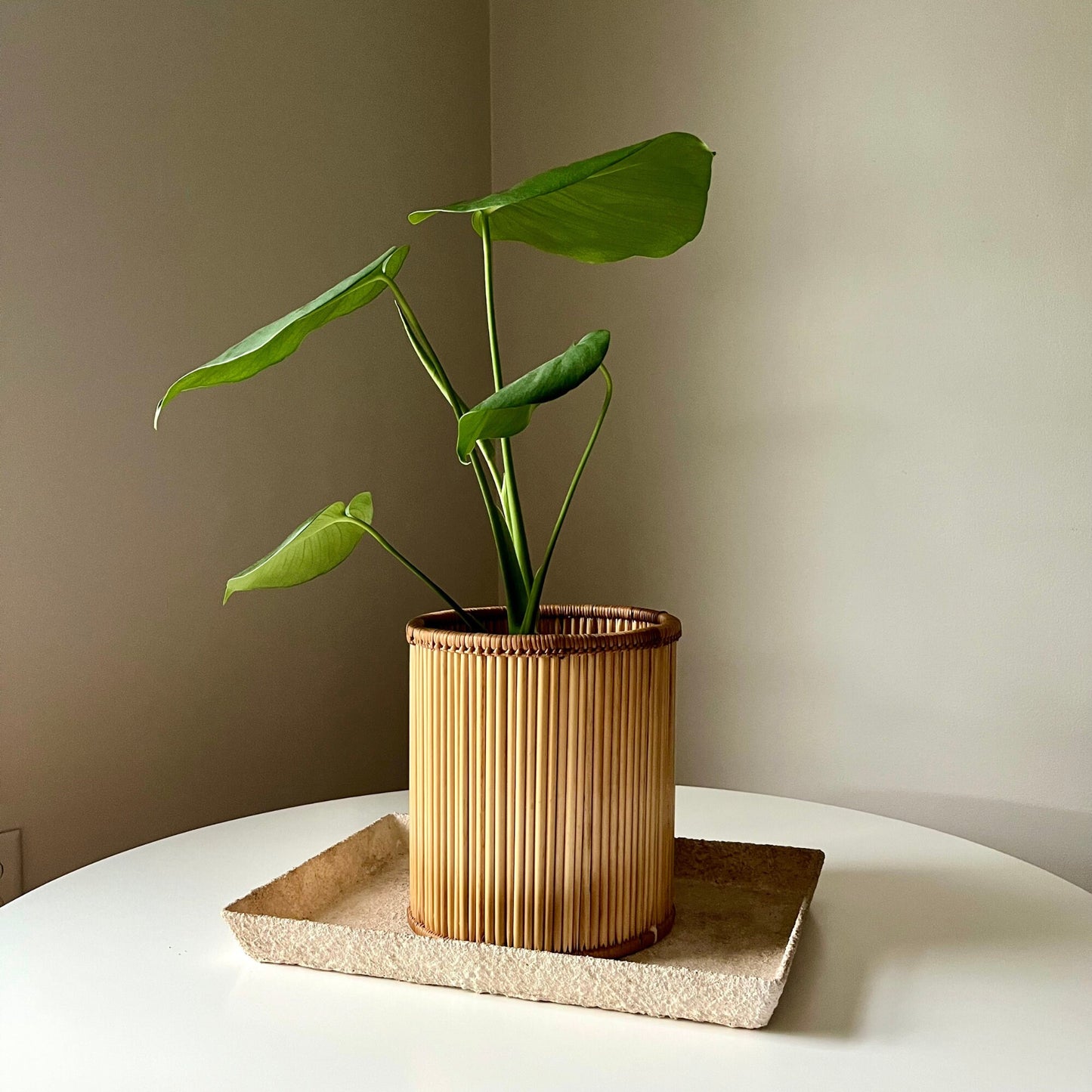 Cane & Bamboo Woven Circular Planter