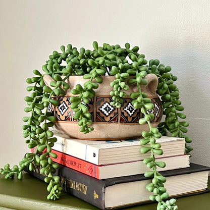 Ceramic Decorative Planter Pot